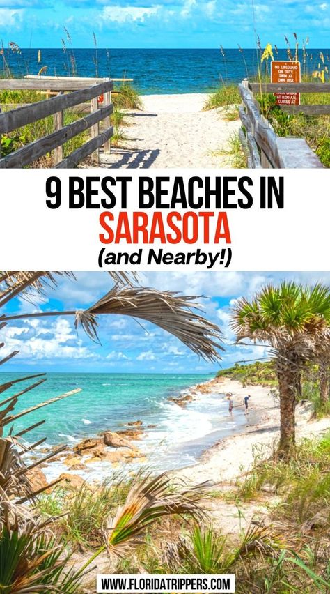 9 Best Beaches in Sarasota (and Nearby!) Sarasota Florida Beach, Madeira Beach Florida, Florida Vacation Spots, Sarasota Beach, Florida Beaches Vacation, Siesta Beach, Siesta Key Florida, Funchal Madeira, Travel Florida