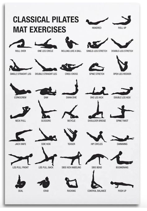 Palates For Beginners Wall, Pilates Basics, Workout For Toning, Easy Morning Workout, Thigh Toning Exercises, Intense Cardio Workout, Toning Exercises, Pilates Workout Plan, Flexibility Routine