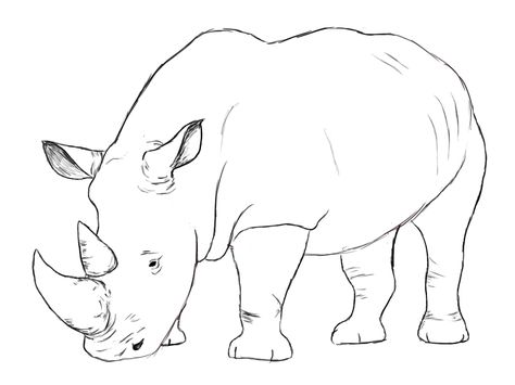 Eraser Drawing, Rhino Illustration, Rhino Art, Crayons Pastel, Easy To Draw, Drawing Paper, Pencil Eraser, Outline Drawings, Paper Drawing