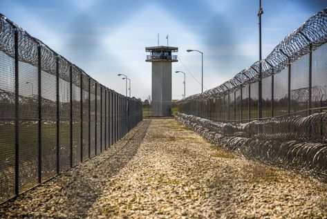 Texas Prison, Prison Reform, Human Back, One Year Bible, Texas Police, Hunger Strike, Solitary Confinement, Correctional Officer, Air Conditioning