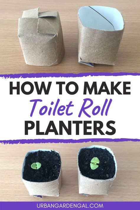 Toilet roll planters are a great way to reduce waste and they're fun for kids to make. Here's a handy guide to make seedling pots out of used toilet rolls. #planters #pots #upcycled Toilet Roll Planters, Paper Plant Pots, March Craft, Gardening Tricks, Toilet Roll Craft, Cardboard Rolls, Seedling Pots, Seed Pots, Paper Pot