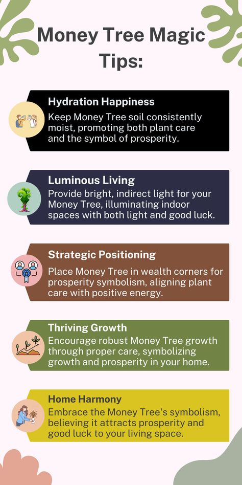 Money Tree Plants, Indoor Plants, Plant Care, Prosperity, Good Luck Money Plant In Water, Money Plant Indoor, Money Tree Plant Care, Money Tree Plant, Tree Growth, Plant Magic, Money Plant, Growing Plants Indoors, Money Tree