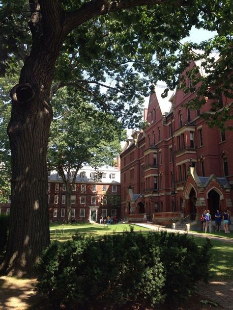 Harvard Acceptance Letter Aesthetic, Harvard Pictures Ideas, Harvard Aesthetic Wallpaper, Harvard University Aesthetic Wallpaper, Boarding School Campus, Harvard Student Aesthetic, Harvard University Aesthetic, University Of Harvard, Harvard Aesthetic