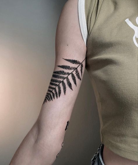 Fern Arm Band Tattoo, Fern Arm Wrap Tattoo, Fern Tattoo Inner Arm, Palapalai Fern Tattoo, Wrap Around Fern Tattoo, Fern Bicep Tattoo, Fern Wrap Tattoo, Fern Tattoo Placement, Fern Rib Tattoo