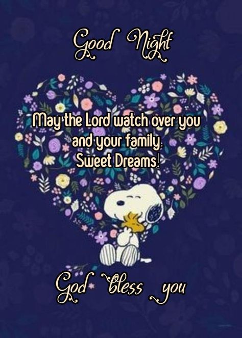 Funny Good Night Images Sleep, Good Night Sweet Dreams Sleep Tight, Goodnight Prayer, Funny Good Night, Funny Good Night Images, Sweet Dreams Sleep Tight, Evening Blessings, Nighttime Prayer, Good Night Blessings Quotes