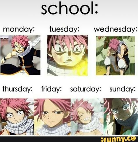 school: monday: tuesdoy: wednesdoy: thursdoy: friday: saturday: sunday: – popular memes on the site iFunny.co #fairytail #animemanga #animu #anime #fairytail #pic Fairytail Dragon Cry, Fairy Tail Meme, Fairy Tail Quotes, Fairy Tail Photos, Fairy Tail Funny, Fairy Tail Comics, Fairy Tail Family, Natsu Fairy Tail, Fairy Tail Pictures