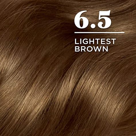 Lightest Brown Hair Color, Lightest Brown Hair, Gold Brown Hair, Medium Auburn Hair, Light Golden Brown Hair, Light Ash Brown Hair, Cool Brown Hair, Golden Brown Hair Color, Zyla Colors