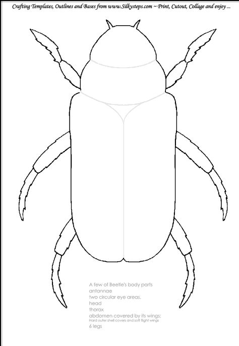 Beetle-outline-craft-template.gif (GIF Image, 690 × 1000 pixels) Beetle Outline, Insect Craft, Template Images, Outline Template, Middle School Art Projects, 2nd Grade Art, Preschool Craft, Bug Art, Shadow Box Art