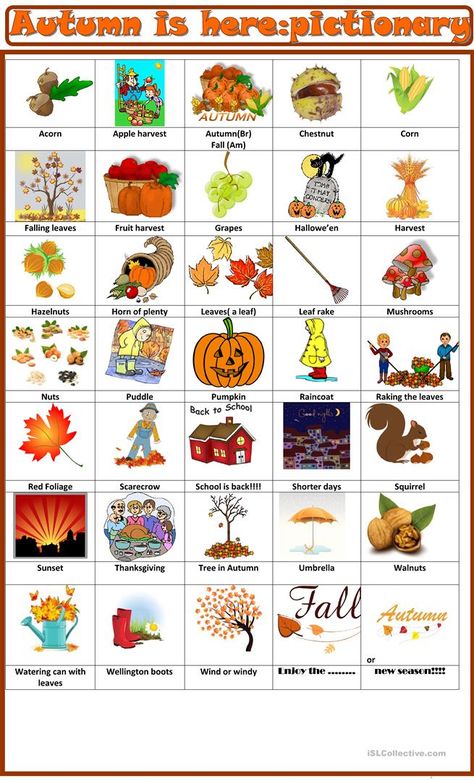 Autumn is here: pictionary - English ESL Worksheets for distance learning and physical classrooms Pictionary For Kids, Pictionary Words, Fall Vocabulary, Preschool Color Activities, Fall Worksheets, Esl Printables, Fall Preschool Activities, Fall Kindergarten, Worksheets Preschool