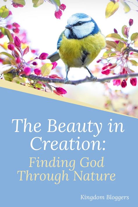 Do find yourself struggling to see God around you? Just step outside and look at the beauty in creation all around you! When you are in nature, you are literally seeing God through His creations! #God #faith #spiritualgrowth #kingdombloggers God's Creation Quotes Nature, God In Nature, Beautiful Kingdom, Kingdom Bloggers, Bible Verses About Nature, Easy Bible Study, Creation Quotes, Sermon Ideas, Nature Lessons