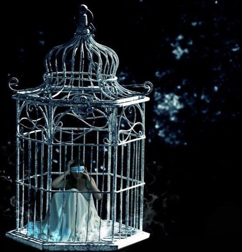 Cage Aesthetic, Nicolas Flamel, Tina Goldstein, Bird In A Cage, Bird Wallpaper, Animated Love Images, Anime Angel, Love Images, Fantastic Beasts