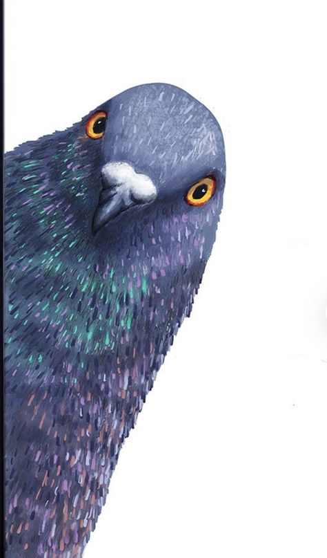 Pigeon Art Painting, Pigeons Drawings, Pigeon Art Drawing, Pigeons Illustration, Pigeon Painting, Pigeon Drawing, Pigeon Illustration, Funny Pigeon, Pigeon Art