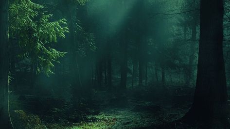 Download wallpaper 1280x720 forest, fog, trees, shadows, light hd, hdv, 720p hd background Desktop Backgrounds Hd, Nature Desktop, Dark Forest Aesthetic, Dark Landscape, Backgrounds Hd, Dark Green Aesthetic, Desktop Wallpaper Art, Forest Background, Nature Wallpapers