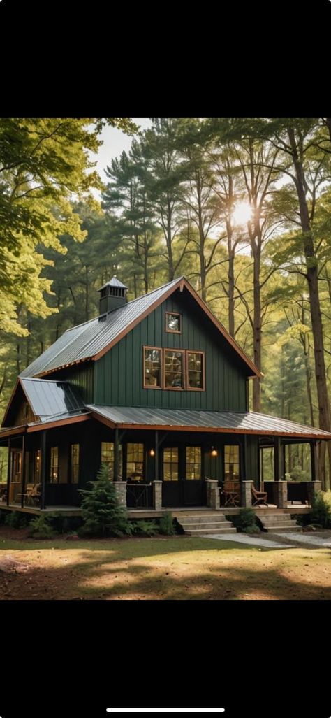 Green Roof Cabin, Green Tin Roof, Tin Roof, Cabin Ideas, Green Roof, Exterior Paint, House Colors, Roof, Tin