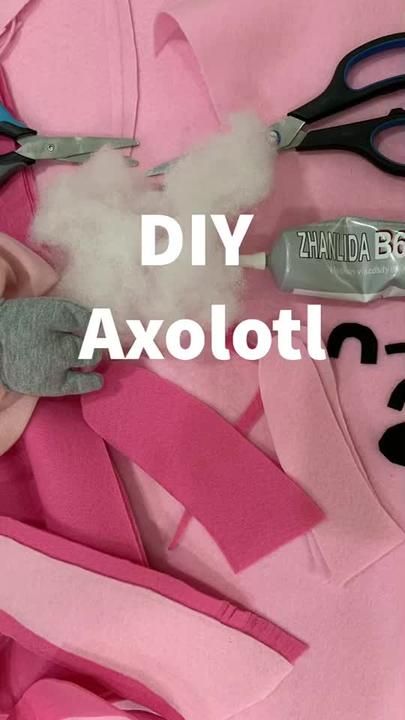 Axolotl Costume Diy, Diy Axolotl, Axolotl Costume, Book Week Costume, Book Week, Diy Costumes, Halloween