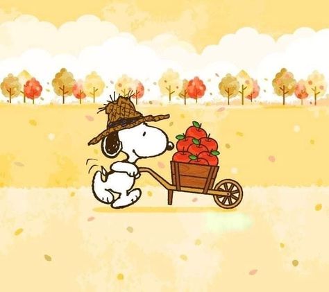 Snoopy October, Snoopy Gifs, Thanksgiving Snoopy, Thanksgiving Prints, Snoopy Watch, Desktop Wallpaper Fall, Snoopy Drawing, Snoopy Tattoo, Charlie Brown Thanksgiving