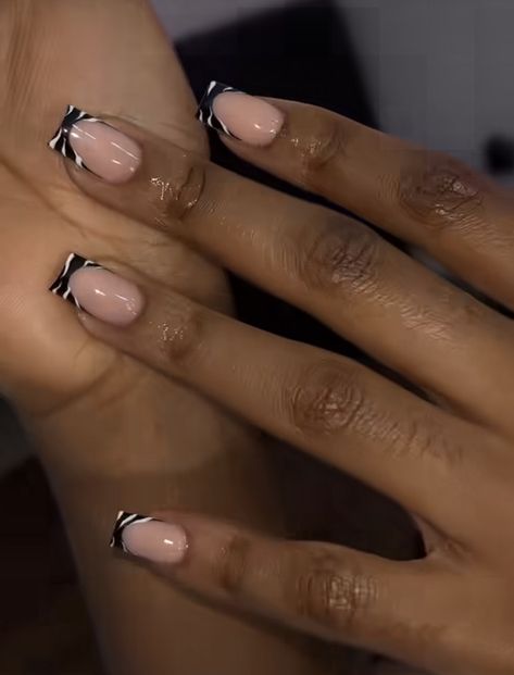 Nails French Tip Black And White, Black Acrylic Nails Designs Ideas Short, French Tip Nails With Black Design, French Nail Designs On Short Nails, Cute Short Black French Tip Nails, Short Zebra Nail Designs, White And Black Short Acrylic Nails, Black Tip Biab Nails, Zebra French Tip Nails Short