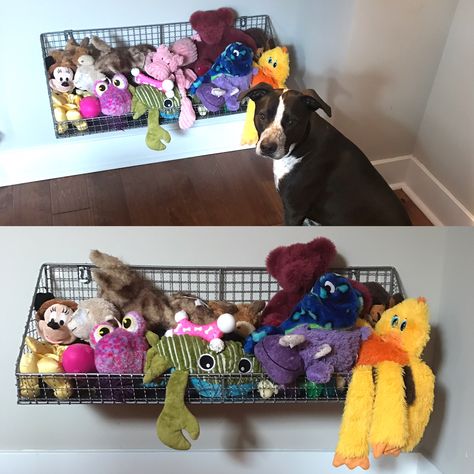 Dog toy storage under long peninsula #dog #dogideas #dogspace #organization Diy Dog Toy Storage Ideas, Dog Toy Organizer, Dog Towel Storage, Dog Toys Organization, Dog Toys Storage, Dog Toy Storage Diy, Dog Toy Storage Ideas, Dog Storage Ideas, Dog Supplies Organization