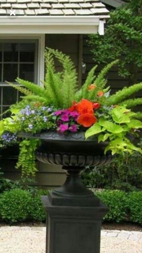 Simple Garden Ideas, Patio Flower Pots, Potted Plants Patio, Backyard Garden Ideas, Beauty On A Budget, Patio Flowers, Simple Garden, Container Garden Design, Potted Plants Outdoor