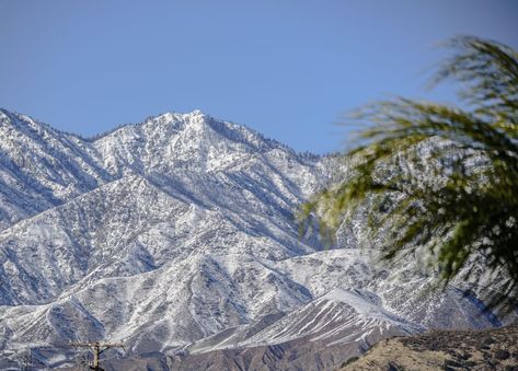 The body of a California man reported missing was recovered in the San Bernardino National Forest, officials said May 2. San Bernardino National Forest, Forest Falls, San Bernardino County, Rescue Team, San Bernardino, National Forest, Elk, Real Estate, Forest