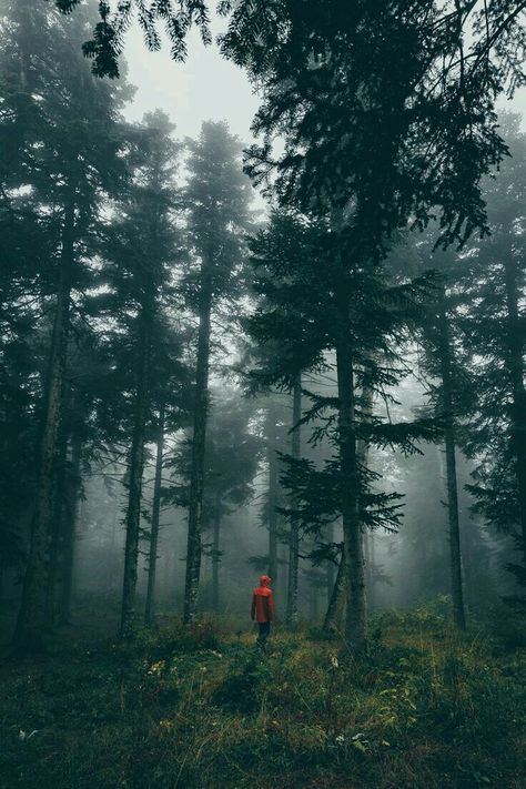 Caminata Vegan Borek, Moody Dark Photography, Moody Pictures, Turkish Borek, Photography Camp, Moody Food Photography, Camping Scene, Camp Food, Picnic Outdoor