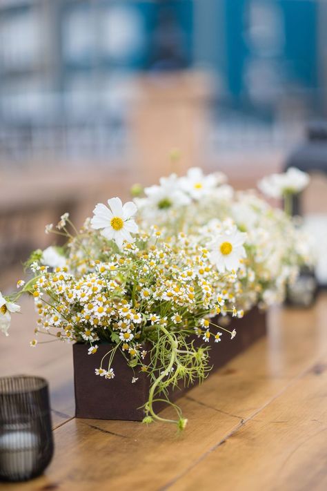 Daisy Wedding Centerpieces, Grad Party Centerpieces, Christening Themes, Daisy Centerpieces, Rustic Rehearsal Dinners, White Cosmos, Wildflower Centerpieces, Lemon Themed Bridal Shower, Flower Table Decorations