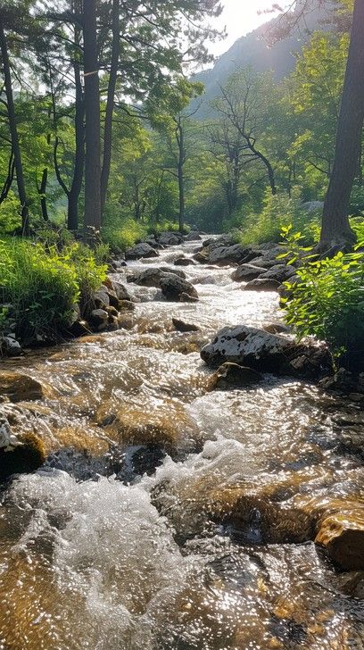 StockCake A peaceful mountain stream meanders through a lush forest, reflecting the tranquility of nature. Rivers In Forest, Stream In The Forest, Forest With Stream, River In The Forest, Mountains And River, Forest Stream, Inktober 2024, Lush Forest, Drawing Prompts