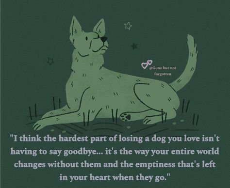 When Your Dog Dies, Losing A Pet Quotes, Dog Heaven Quotes, Miss My Dog, Pet Quotes, Gone But Not Forgotten, Dog Quotes Love, Dog Heaven, Pet Remembrance