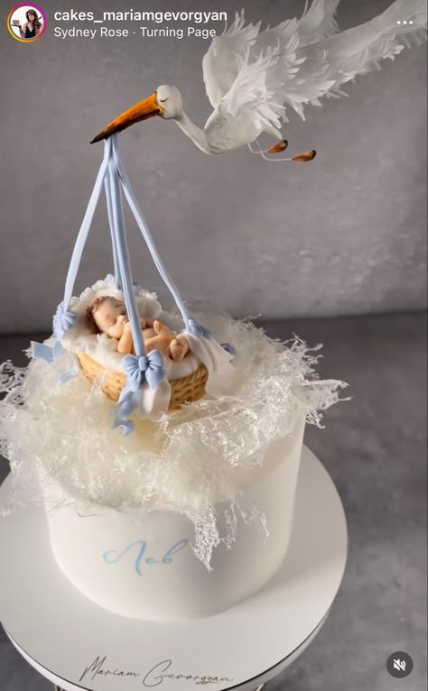 Pregnant Cake Design, Cake For Newborn Baby Boy, Pregnant Cake Ideas, Birthday Cake For Pregnant Woman, Stork Cake, Pastry Chocolate, Anti Gravity Cake, Baby Reveal Cakes, Baby Shower Cake Designs