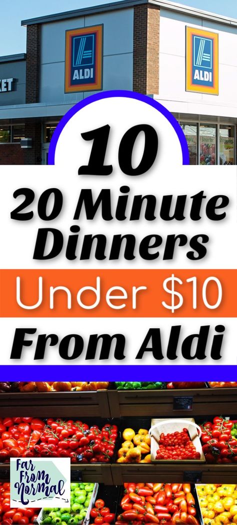 10 Dollar Meals, Aldi Meals, Cheap Meal Plans, Frugal Meal Planning, 20 Minute Dinners, Aldi Meal Plan, Cheap Family Meals, Aldi Recipes, Meal Planning Menus