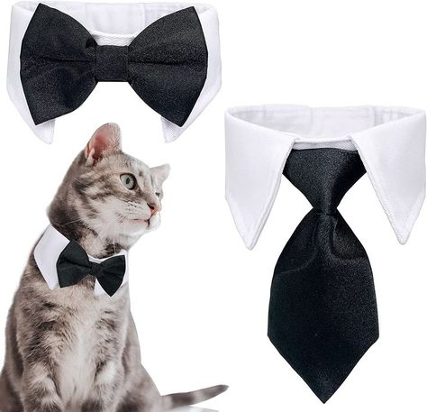 Cat Tuxedo, Valentines Dog, Tuxedo Collar, Cat Tie, Mini Pinscher, Dog Tuxedo, Plaid Dog Collars, Cat Wedding, Dog Tie