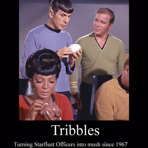 Tribbles Star Trek, Star Trek Tribbles, Hogans Heroes, 60s Tv, Star Trek 1, Star Trek Spock, Enterprise Ncc 1701, Star Trek Funny, Star Trek Tv