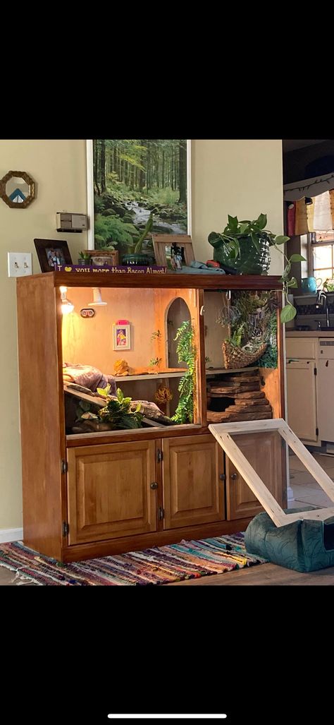 Bearded Dragon Tank Setup, Diy Bearded Dragon Enclosure, Bearded Dragon Vivarium, Bearded Dragon Terrarium Ideas, Pic Profile, Lizard Terrarium, Bearded Dragon Diy, Diy Reptile, Bearded Dragon Terrarium