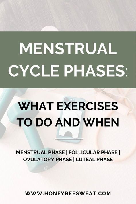 Excersise Plan, Workout During Period, Period Workout, Cycle Phases, Menstrual Cycle Phases, Period Cycle, Fitness For Women, Stretching Routine, Best Workouts