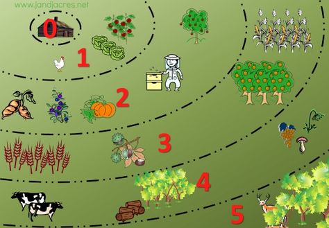 Can a place be to small for permaculture zones, or do all zones have to be on own property. Some thoughts on permaculture zones on 1/8 of an acre lot. Casa Hobbit, Permaculture Principles, Farm Plans, Farm Layout, Garden Calendar, Permaculture Design, Permaculture Gardening, Urban Homesteading, Food Forest