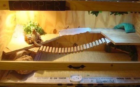 10 Inspiring Bearded Dragon Cage Setup and Decor Ideas Diy Bearded Dragon Cage, Bearded Dragon Setup, Diy Bearded Dragon Enclosure, Breaded Dragon, Bearded Dragon Vivarium, Bearded Dragon Terrarium Ideas, Dragon Terrarium, Bearded Dragon Diy, Bearded Dragon Enclosure