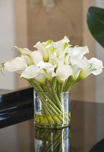 Calla Lily Centerpieces Wedding, Calla Lily Arrangement, Calla Lily Vase, Peace Lily Flower, Lily Arrangement, Calla Lily Centerpieces, Lily Centerpieces, White Calla Lilies, White Calla Lily