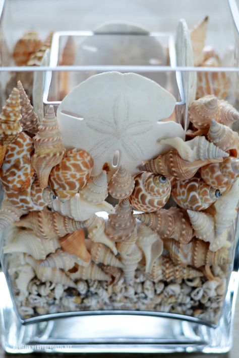 DIY seashell vase flower arrangement | ©homeiswheretheboatis.net #flowers #shells #beach #DIY Sea Shells In Glass Vases, Diy Summer Flower Arrangements, Seashell Arrangements, Beach Arrangements, Seashell Vase, Net Flowers, Seashell Centerpieces, Shell Centerpieces, Summer Flower Arrangements