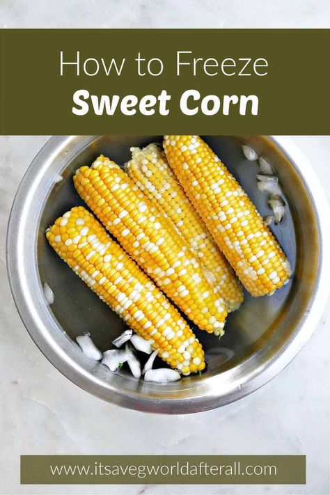 How to Freeze Sweet Corn Cooking Frozen Corn, Blanching Corn, Frozen Corn Recipes, Freezing Fresh Corn, Freezing Corn, Jalapeño Soup, Freezer Prep, Sweet Corn Soup, Tips For Cooking