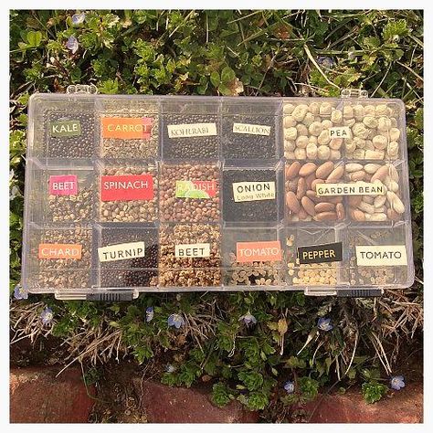 Bead Box Seed Library We all love to collect and examine and arrange our seed packs in winter. But when its time to plant, fumbling with those envelopes can result in frustration and wasted seeds. Use an inexpensive craft bead box with a locking mechanism to make yourself a seed library. Easy access to your most common and succession planted veggies. Southern Gardening, Onion Garden, Seed Library, Seed Storage, Succession Planting, Seed Collection, Seed Bank, Winter Plants, Seed Saving