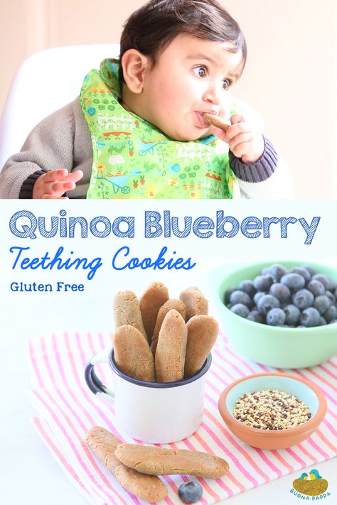 Quinoa Teething Cookies with Blueberries Gluten Free +6M. Hard enough to grasp and hold, yet they will dissolve when chewed. Most important: they taste good!! Teething Cookies For Babies, Cookies With Blueberries, Cookies For Babies, Homemade Teething Biscuits, Teething Cookies, Teething Biscuits, Toddler Foods, Easy Baby Food Recipes, Baby Led Weaning Recipes