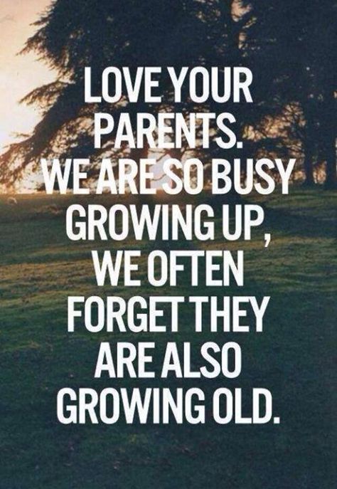 Don't forget where you came from! Citation Parents, Best Family Quotes, Love Your Parents, Parenting Quotes, Quotable Quotes, Family Quotes, Growing Old, Parenting Tips, Inspirational Quotes Motivation