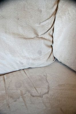 551 east : How to clean a microfiber couch Cleaning Microfiber Couch, Remove Water Stains, Microfiber Couch, Cleaning Painted Walls, Clean Dishwasher, Simple Life Hacks, Clean Microfiber, House Cleaning Tips, Diy Cleaning Products