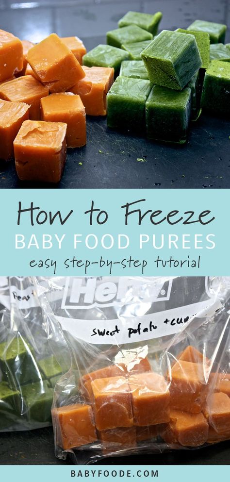 Baby Purees, Homemade Baby Food Recipes, Baby Food Schedule, Freezing Baby Food, Baby Food By Age, Diy Baby Food, Baby Food Chart, Easy Baby Food Recipes, Baby First Foods