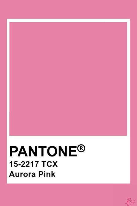 2019-2020 Autumn Winter "Noon" Aurora Pink Bright Pink Pantone, Pink Pantone Colors, Pink Colour Swatch, Pink Pantone Palette, Light Pink Pantone, Pantone Pink Shades, Pantone Rosa, Pink Pantone, Pantone Tcx