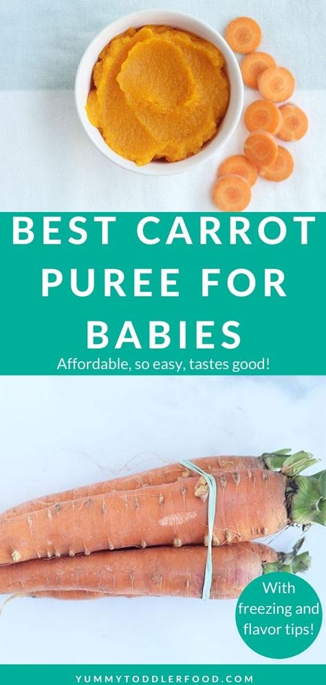 Turn fresh carrots into a simple, nourishing baby food with this easy method...no special baby food makers required. Plus, find easy ways to add flavor, combine it with other purees, and store it for future baby meals. #carrotpuree #babyfood #babyfoodideas #homemadebabyfood Homemade Baby Puree Recipes, Carrot Baby Puree, Carrot Baby Food, Carrot Baby, Carrot Puree, Baby Food Puree, Baby Carrot Recipes, Baby Food Combinations, Butternut Squash Puree