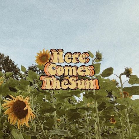 "Here comes the sun, here comes the sun  And I say it's alright." The Beatles! It's definitely alright 🎼😍 90s Cartoons, Here Comes The Sun, Picture Collage Wall, Photo Wall Collage, Yellow Aesthetic, Jolie Photo, Picture Collage, Mellow Yellow, Aesthetic Grunge