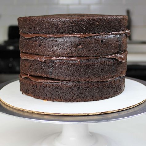 Chocolate Layer Cake Recipe With Chocolate Buttercream - Chelsweets Chocolate Sponge Cake Recipe, Chocolate Layer Cake Recipe, Sponge Cake Recipe, Chocolate Sponge Cake, Layer Cake Recipes, Baking Cocoa, Sponge Cake Recipes, Chocolate Wedding Cake, Chocolate Layer Cake