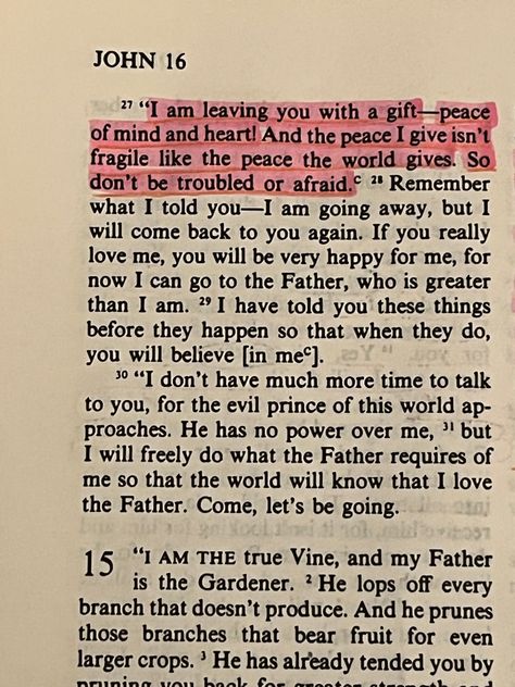 Comforting Bible Verses, Favorite Scriptures, Christian Bible Study, Christian Girl, Bible Study Verses, Bible Motivation, Bible Notes, Christian Bible Quotes, Bible Study Notes