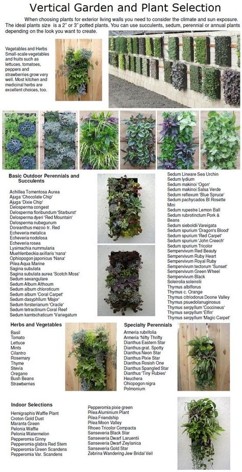 Diy Garden Landscaping, Vertical Garden Plants, Wall Outdoor, Vertical Vegetable Garden, Vertical Garden Wall, Walled Garden, Wall Garden, Ideas Garden, Community Gardening